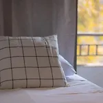 Descubre El Vibrante Barrio Andres Bello